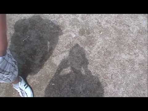 Kein Abschied - Waldschule Hagen