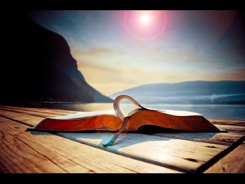 Mi Anhelo - Pista | Edith Aravena