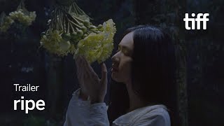 RIPE Trailer | TIFF 2025
