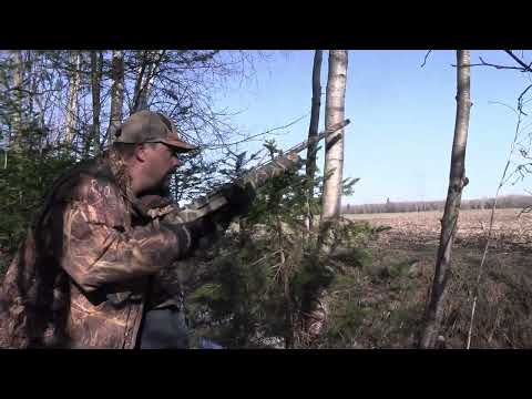 Chasse du Dindon sauvage 2022 Wild Turkey Hunt Québec Canada Le Show de plume S3 E2