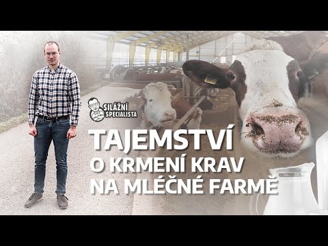 , title : 'Tajemství o krmení krav na mléčné farmě'