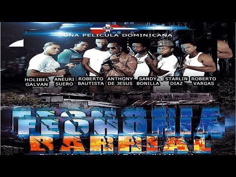 Fechoría Barrial 01, Película Dominicana