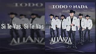 Si Te Vas, Si Te Vas Music Video