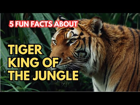 10 Amazing Facts About Tigers You Didn't Know! 🐅