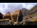 Highlander L Ultimo Immortale La Morte Di Heather