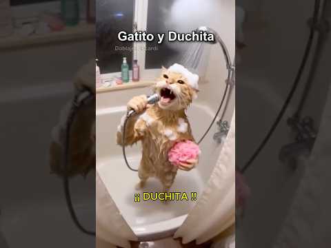 GATITO Y DUCHITA