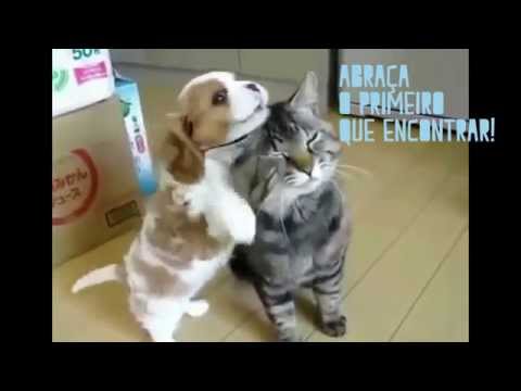 Julia Tazzi - Pula, gira e abraça