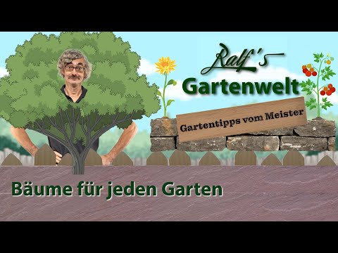 Bäume für jeden Garten I Gartentipps vom Meister I Ralf´s Gartenwelt