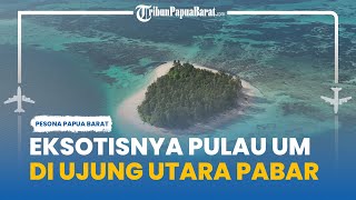 Melihat Eksotisnya Pulau Um di Utara Papua Barat, Jadi Habitat Kelelawar dan Camar
