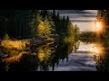 Boz Scaggs  - Fade Into Light