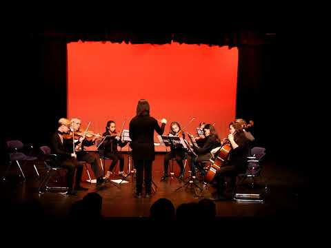 LMC String Orchestra - Nutcracker in About 3 Minutes