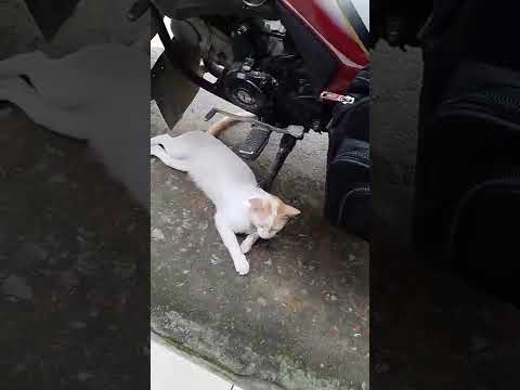 he's unstoppable today 😆