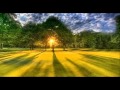 Ani Difranco- 4th of July,God's Country