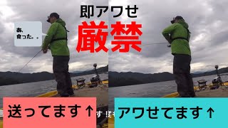 斎藤哲也 撮影　ある日の野尻湖釣行！即回収は本当に厳禁！