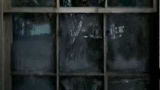 "When Bugs and Rats Attack" Digital FX DVD