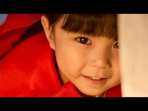 비디오 5