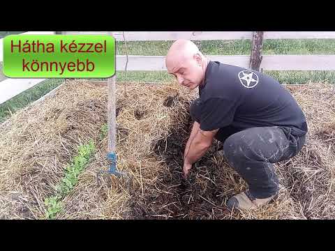 Mélymulcs 6. - Újravetés - Analizálás - Tapasztalat megosztás