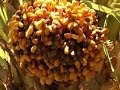 Dates How Do They Do It