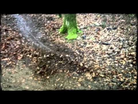 comment construire une piste de dh