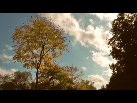 Again and Again (Colors of Fall) - Antti Kajander