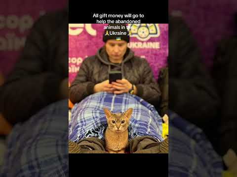 Save the abandoned animals in the war-torn country#animalrescue #waranimals #ukraine