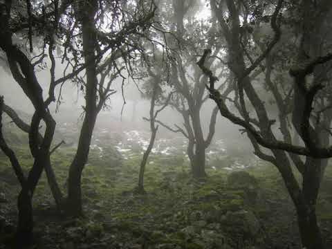 Thormenta ■ GodThrueno Prod. Lanalizer