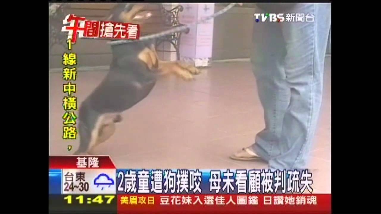2歲童遭狗撲咬 母未看顧被判疏失