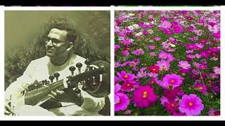 Download lagu Pandit Radhika Mohan Maitra sarod raag des mp3