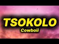 Cowboii Tsokolo Lyrics Ft Emtee Thatohatsi Musical Xhepard