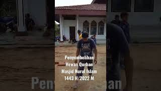 Download lagu Penyembelihan Hewan Qurban 1443 H/2022 M #shorts #iduladha mp3 Download lagu Penyembelihan Hewan Qurban 1443 H/2022 M #shorts #iduladha mp3