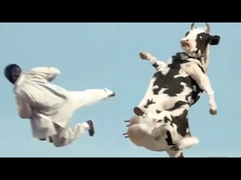 Ya lili Ya lila / Elili elila ( Yalili Remix ) Arabic Remix | lai lai lai kungfu Cow funny fight 😂😂