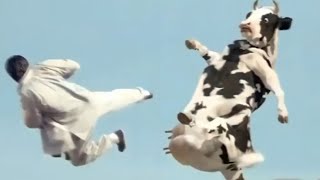 Download lagu Ya lili Ya lila / Elili elila ( Yalili Remix ) Arabic Remix | lai lai lai kungfu Cow funny fight 😂😂 mp3