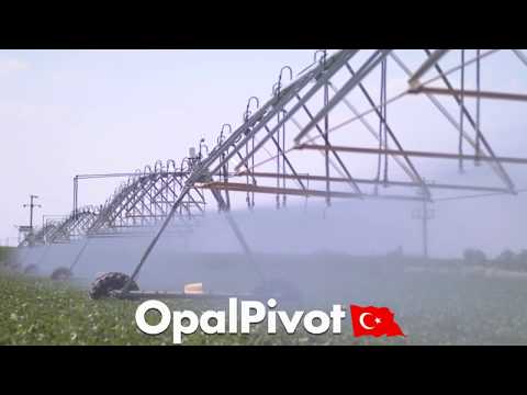 OPALPIVOT 2020