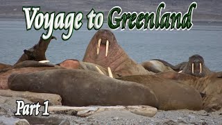 🚢 Greenland Voyage (Part 1 of 4) 🧊