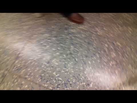 Am Plärrer, Gostenhof und Bärenschanze