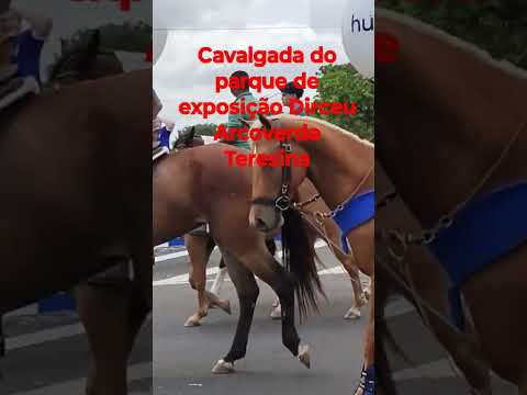 #cavalo #cavalgada do parque de exposição Dirceu Arcoverde Teresina Piauí início da expoap🐎🐎🐎🐎