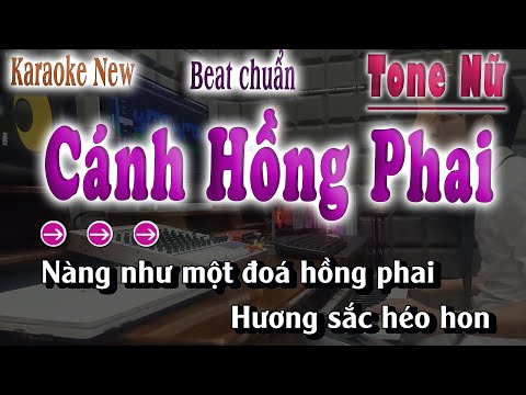 Cánh Hồng Phai Karaoke Tone Nữ Beat Chuẩn Nhạc Sống song nhien karaoke