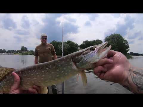 Raubfischtour an der Weser 2018