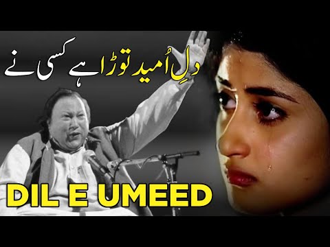 Dil E Umeed Tora Hai Kisi Ne | [Slowed+Reverb] | 