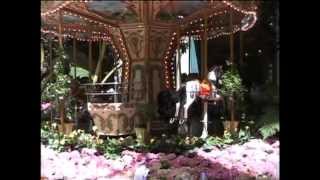 Bellagio Conservatory (&quot;Enjoy The Ride&quot; by Kate Voegele)