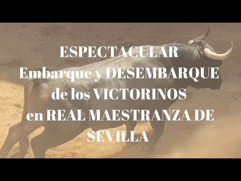 ⛔️ 😍¡ESPECTACULAR Embarque y Desembarque de LOS VICTORINOS para LA REAL MAESTRANZA DE SEVILLA!😍