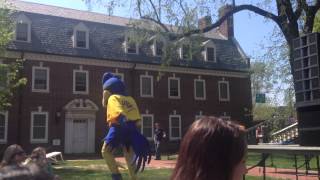 UD Mascot Dancing to Kingsfoil