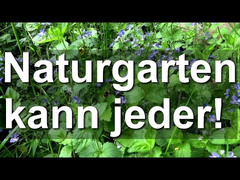 Naturgarten kann jeder - Artenvielfalt Natur, Garten, Wiese, Bienen, Hummeln - Mielkendorf bei Kiel