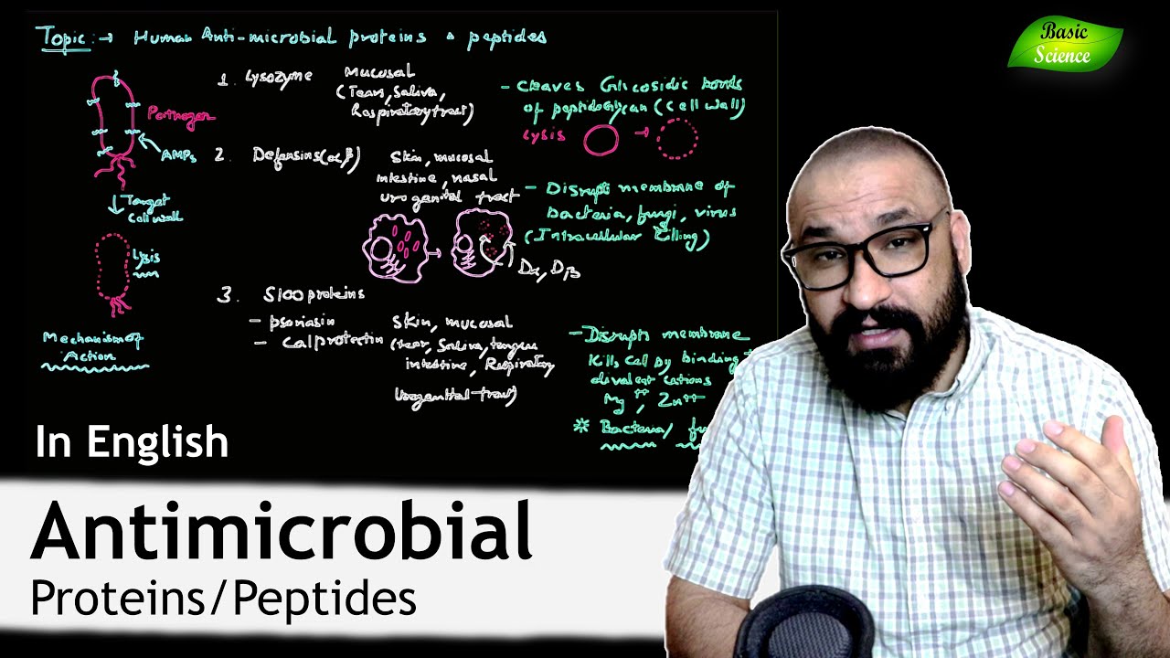Antimicrobial Proteins and Peptides | Innate Immunity | CSIR-NET | Basic Science Series