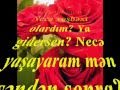 Seni Sevirem Sevgilim... 