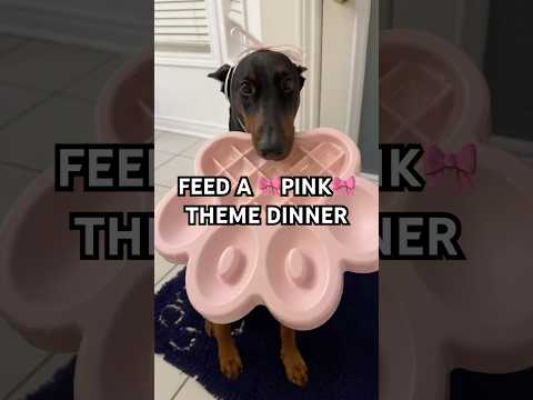 Feed my dog a pink themed dinner! 🎀 #dogshorts #petfood #dogmom #petcare #dogfeeding #dogfood