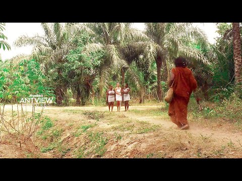 You Are Making The Biggest Mistake, If You Skip This Interesting Mind