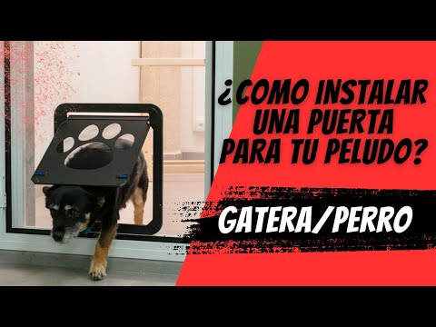 Cómo Instalar una Puerta para Mascotas (Gatera/Perro) en tu Mosquitera