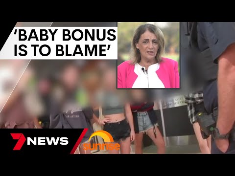 Is the 'baby bonus' to blame for Qld's youth crime crisis? | 7 News Australia
