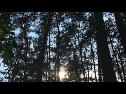 SUNSET MELODY Vol.3 Melodic Techno & House Mix 2021 ( Marc Coon )